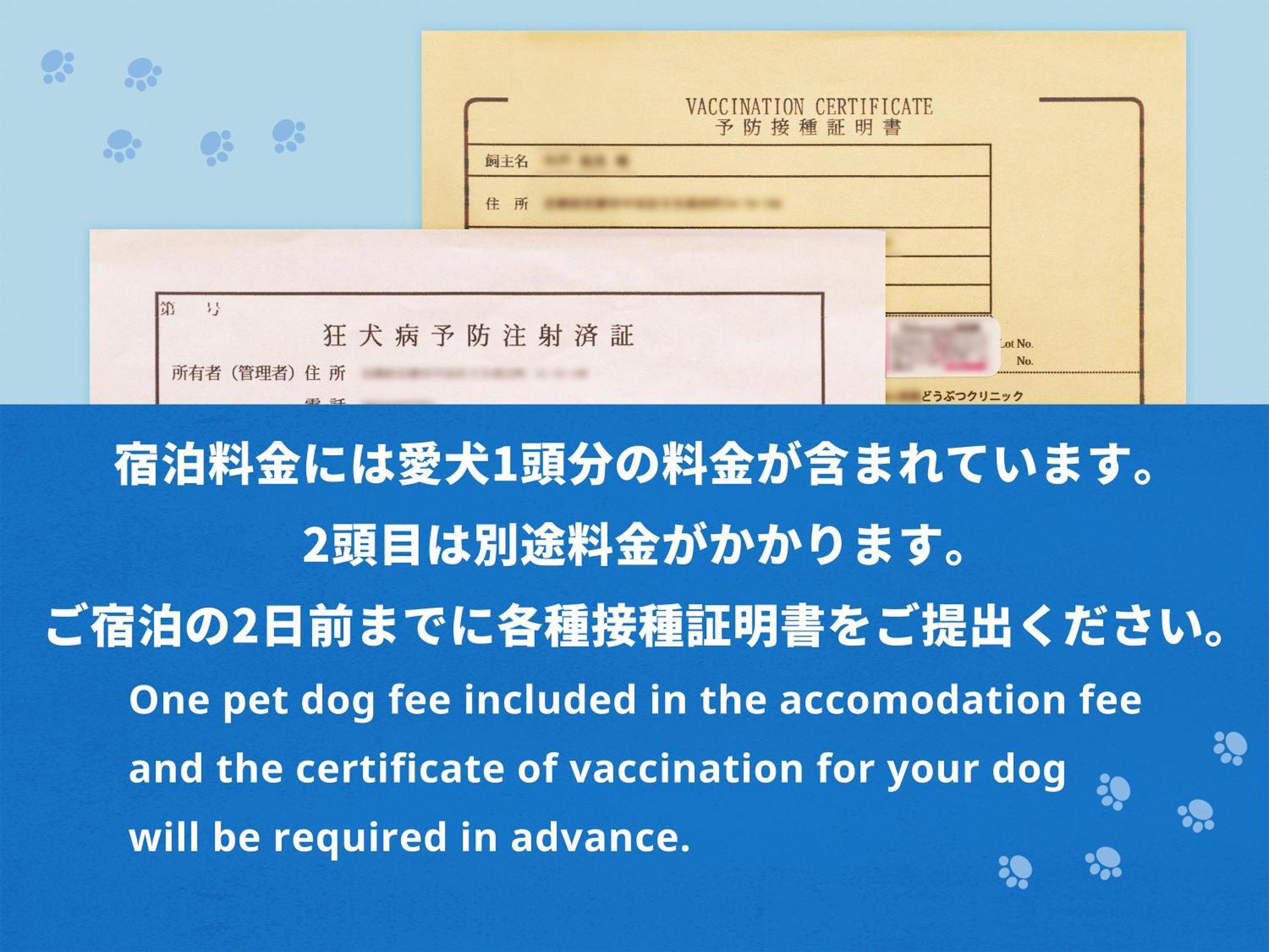 Hotel Anddoggy Kyoto Nijo Szoba fotó