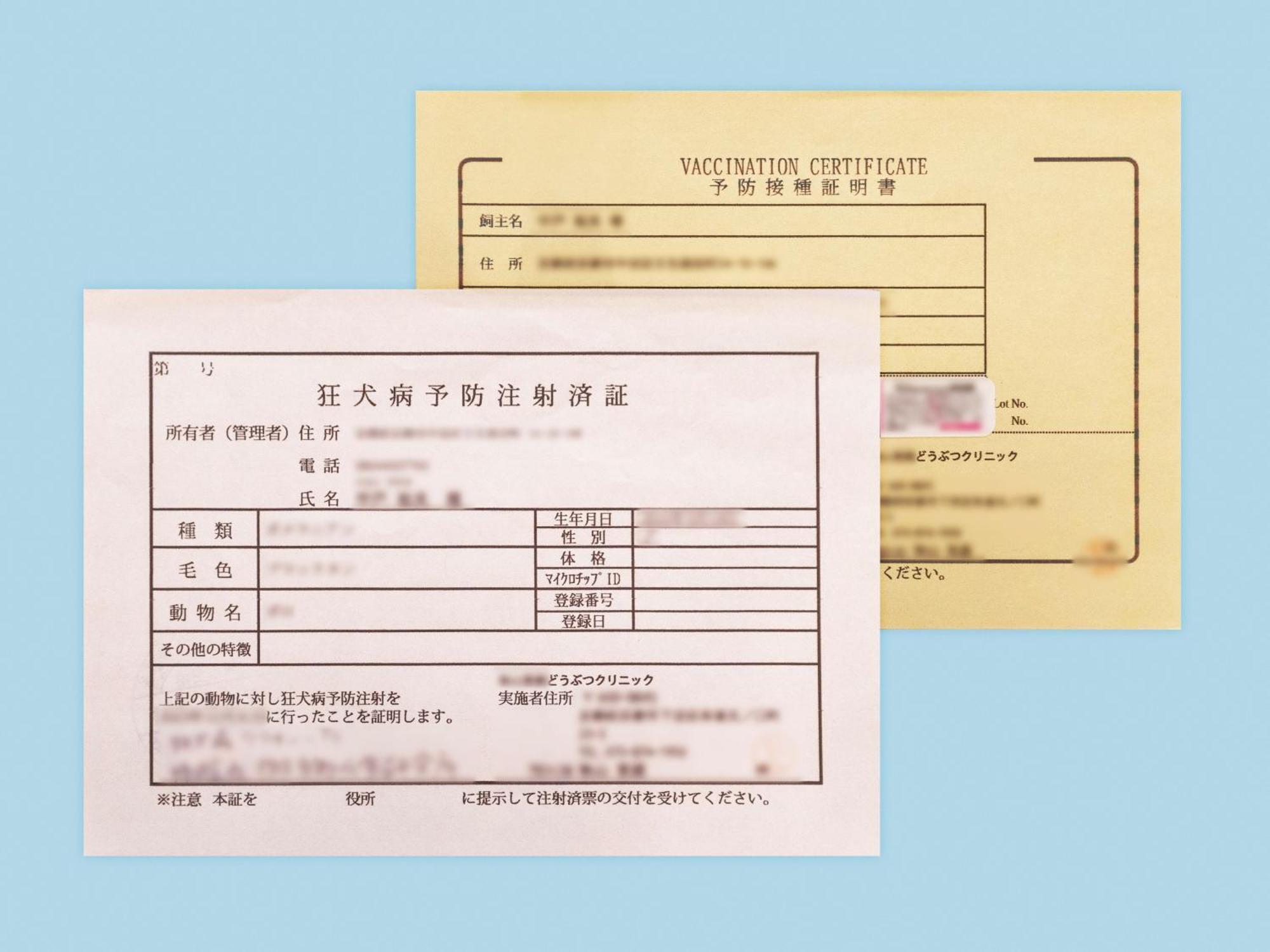 Hotel Anddoggy Kyoto Nijo Kültér fotó