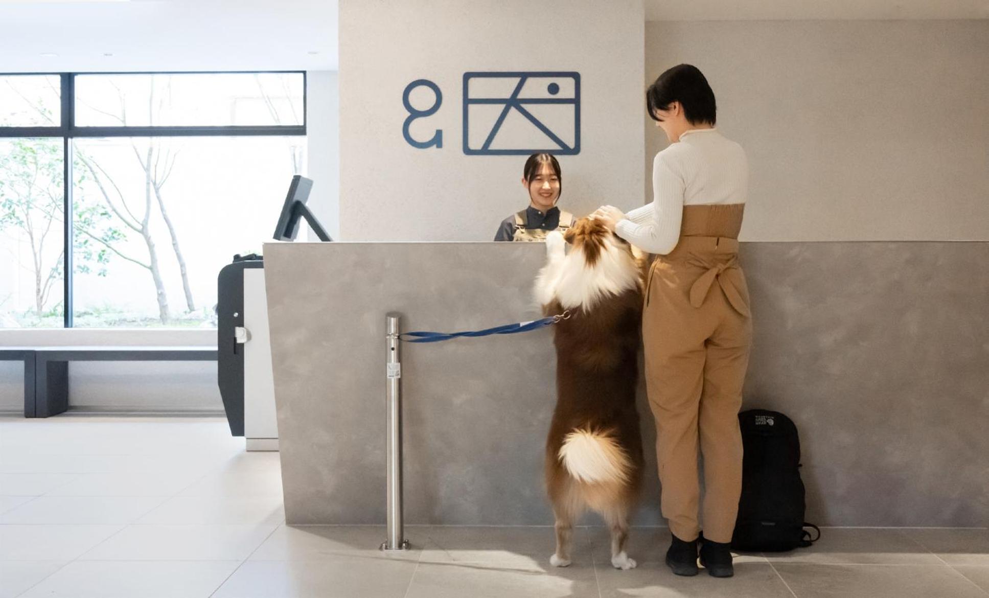 Hotel Anddoggy Kyoto Nijo Kültér fotó