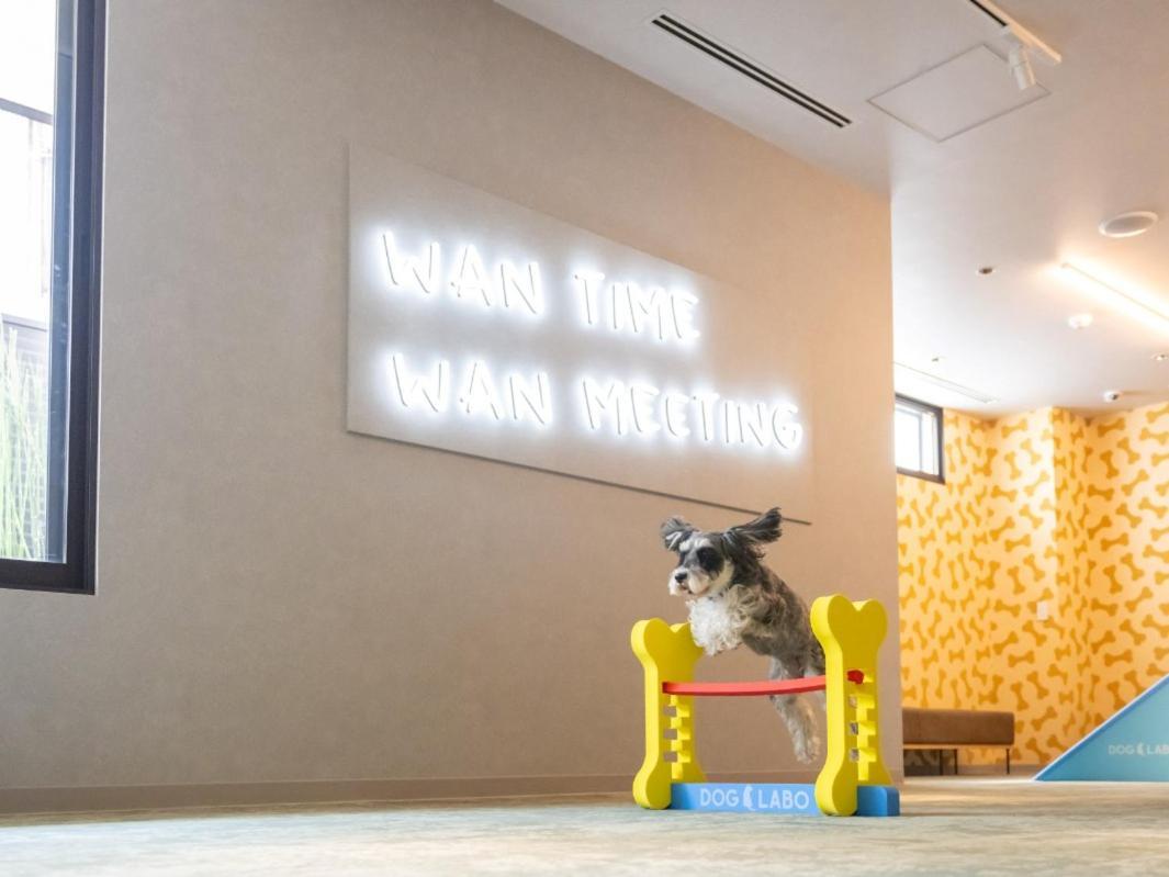 Hotel Anddoggy Kyoto Nijo Kültér fotó