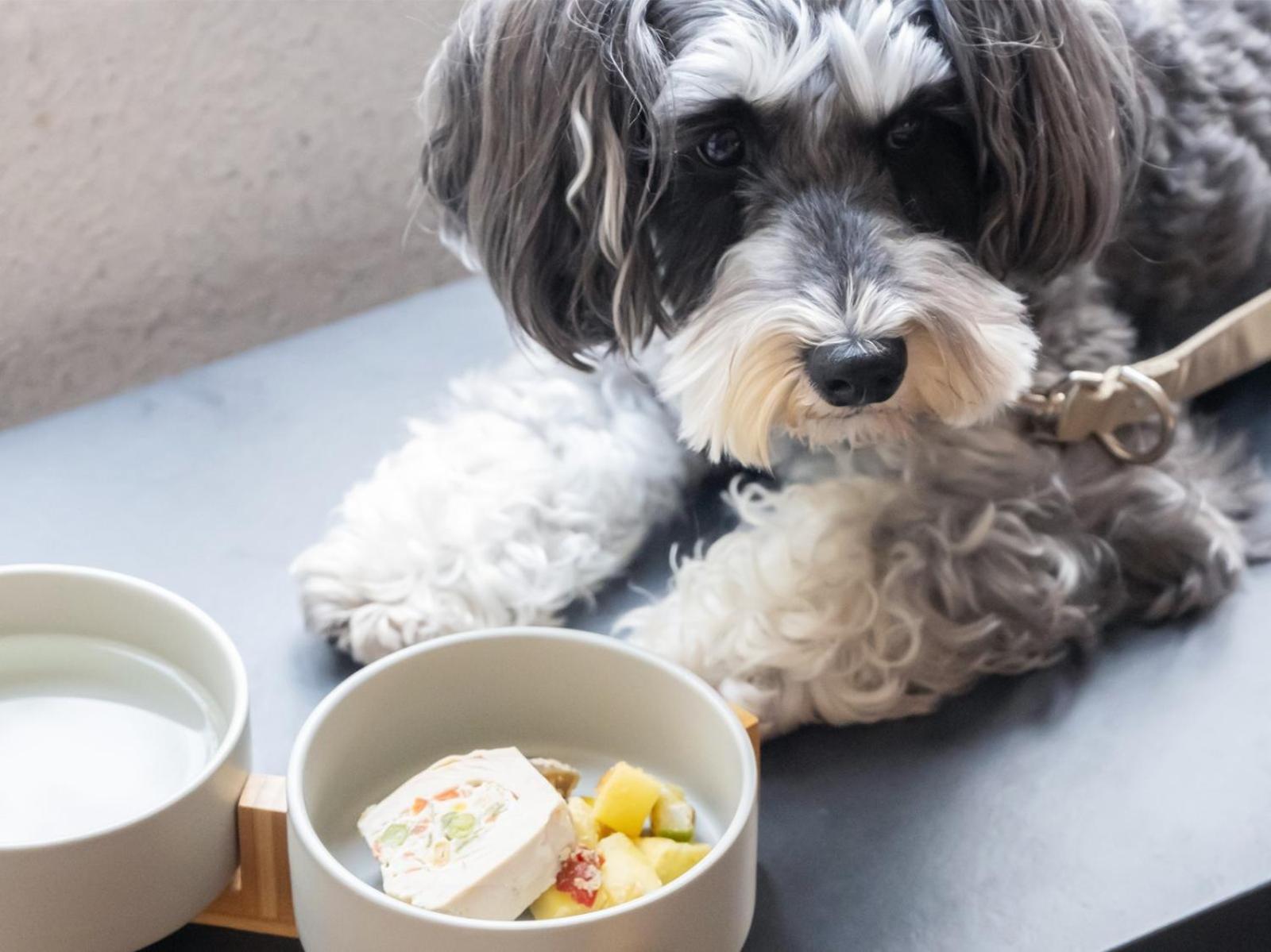Hotel Anddoggy Kyoto Nijo Kültér fotó