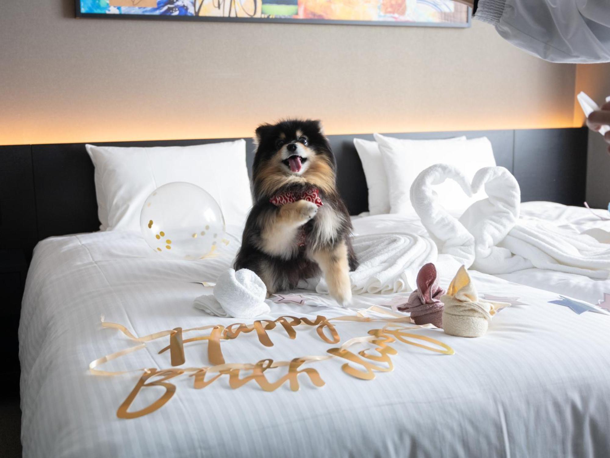 Hotel Anddoggy Kyoto Nijo Kültér fotó